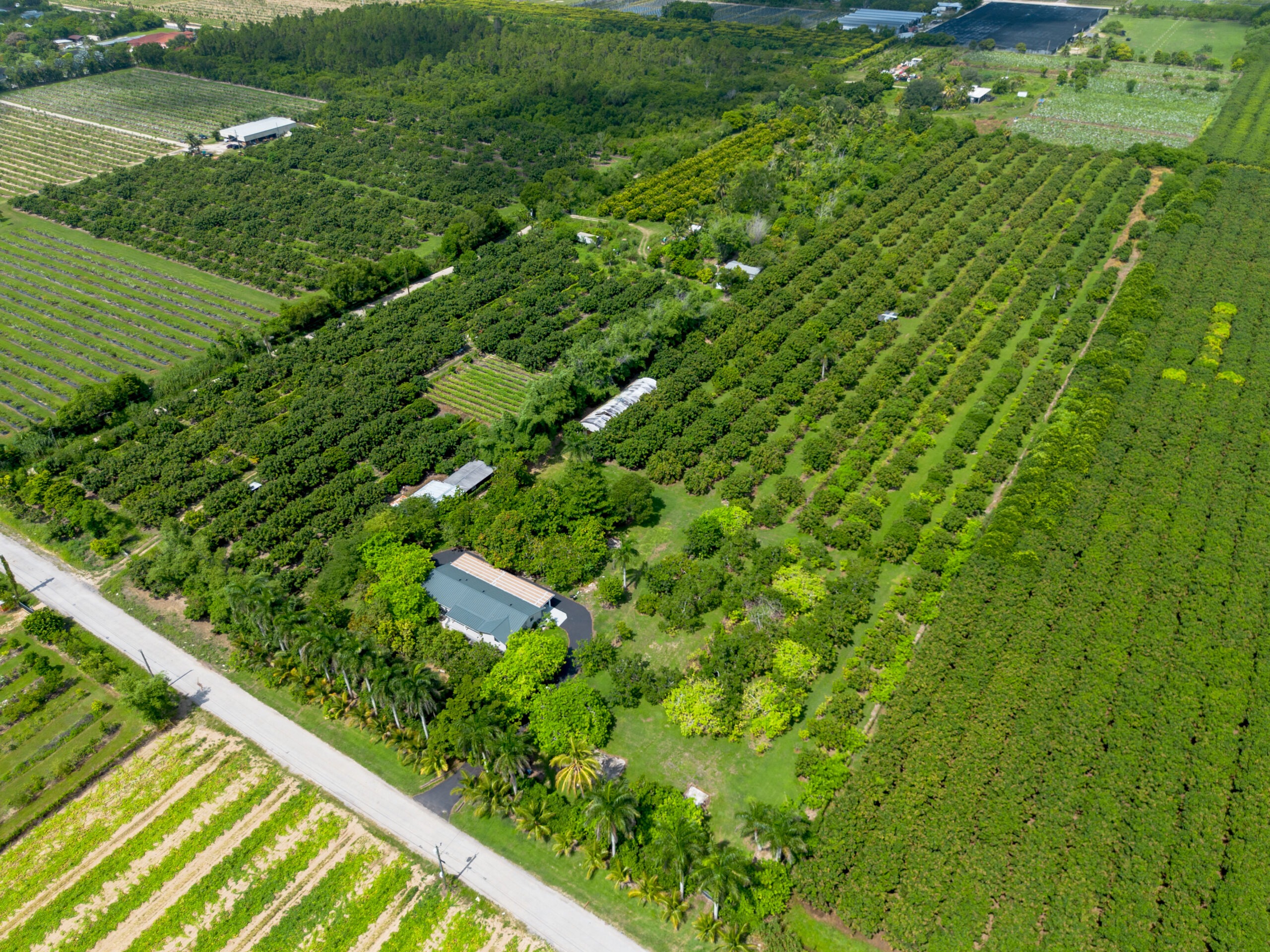 DJI_0031-HDR